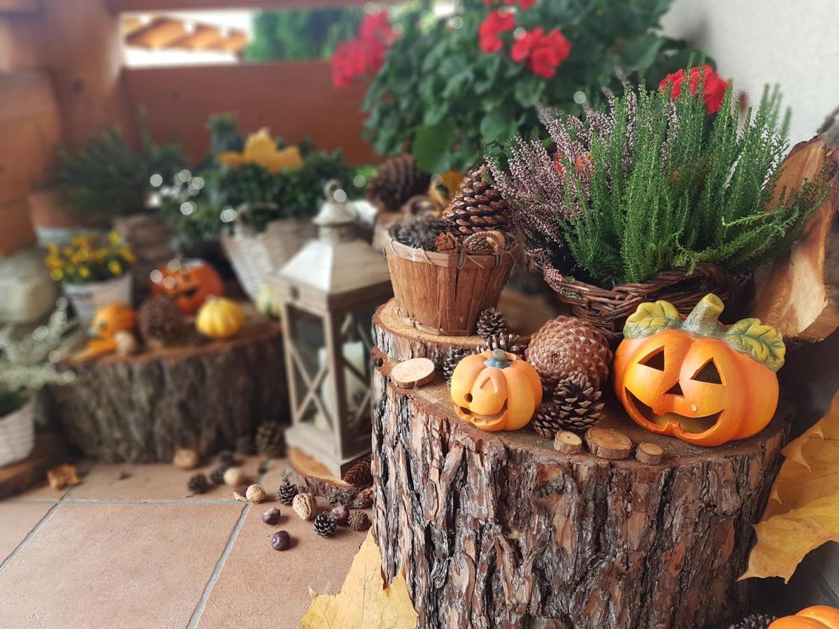 Lesny Dworek Zakopane Dış mekan fotoğraf