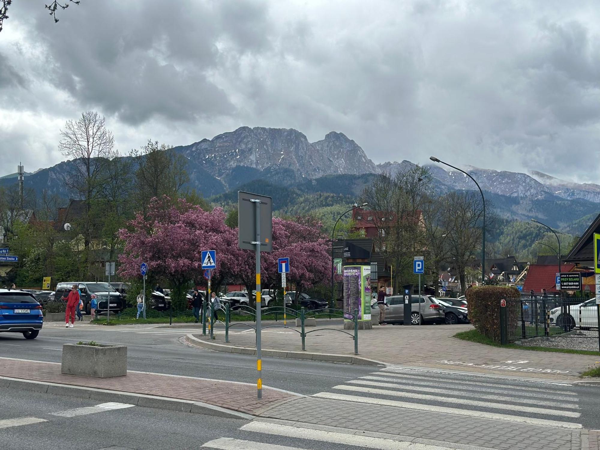 Lesny Dworek Zakopane Dış mekan fotoğraf