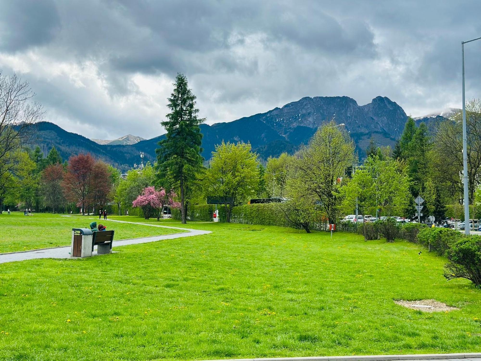 Lesny Dworek Zakopane Dış mekan fotoğraf